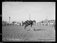 Bill Kipp off Joe Louis