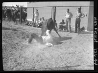 Bill McGuire Steer Wrestling