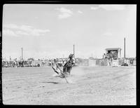 Chuck Wilkinson Calf Roping