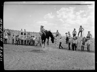 Bob Armstrong on Porkupine