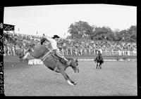 Alvin Nelson on Brown Bomber