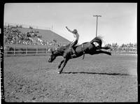 Buck Lovier on Hartcross