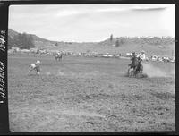 Jim McMahan Calf Roping