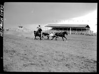 Danny Danields Steer Wrestling