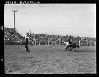 Junior Muzio Calf Roping