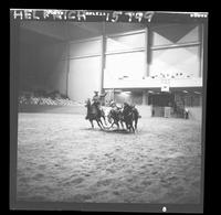 Doyle Cobler Steer Wrestle