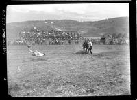 Pete Crump Calf Roping