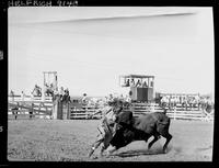 Felix Cooper Bull Fighting