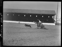 Homer Pettigrew Calf Roping