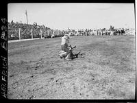 Fred Darnell Calf Roping