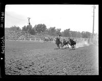 Wayne Dunafon Steer Wrestling