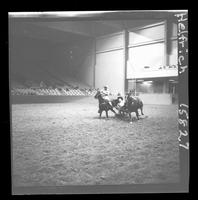 Wilbur Plaugher Steer Wrestle