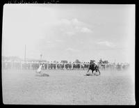 Olin Young Calf Roping