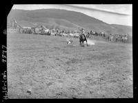 Bud McNeil Calf Roping