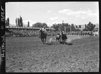 Bob Orrison Steer Wrestling