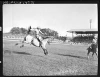 Jackie Wright on Yellow Jacket