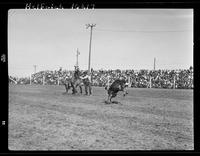 Jack Branham Calf Roping