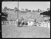 Joe Kelsey Steer Wrestling