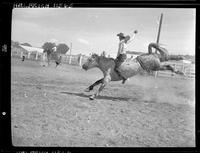 Jerry Hart on Gray Ghost