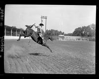 Doug Cooper On Red River