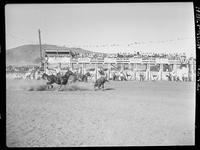 Bill Hartman - Leo Throne Team Roping