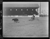 Vern Castro Calf Roping