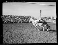 Hazel LaVerne Morrow Trick Ride  (Tail Drag)