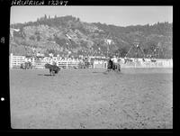 Dean Oliver Calf Roping