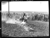 Byron Walford Calf Roping