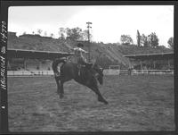 Winston Bruce on Devil's Dream