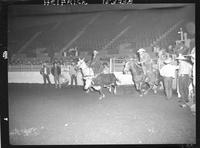 Steer Wrestling and Chute Gate pics  (8 negs)