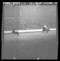 Bill Lowe Calf Roping