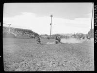 Bub Gatzman Calf Roping