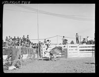 Buck Rutherford off #302