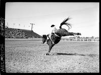 Wallace Brooks on Winnemucca