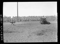 Nick Marris Calf Roping