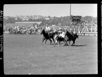 Willard Combs Steer Wrestling