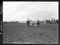 Ross Dollarhide Steer Wrestling