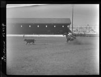 Jake Bogard Calf Roping