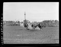 Willard Combs Steer Wrestling