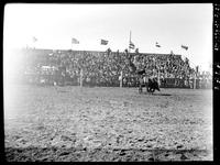 Claude Henson Calf Roping