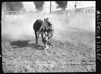 Mel Weasa Steer Wrestling