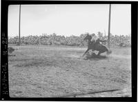 Joe Bergevin Calf Roping