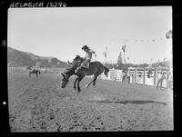 Sonny Root on Comanche