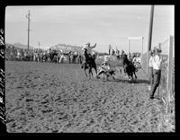 Claude Mayfield Steer Wrestling