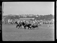 John Dalton Steer Wrestling