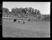 Stub Johnson Calf Roping