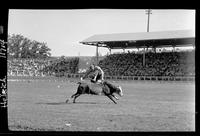 Wilbur Plaugher Jumps over Bull