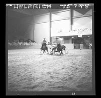 Billy Hale Steer Wrestle
