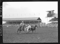 Barney Willis Steer Wrestling